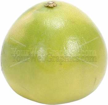 photo - grapefruit-jpg